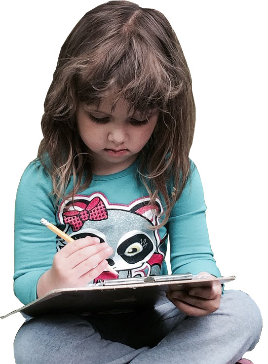 手机号轰在线轰炸